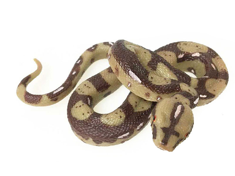 Python Bivittatus toys