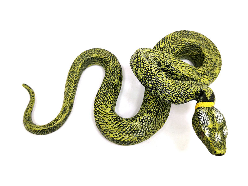 Python Bivittatus toys