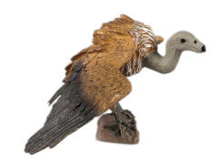 Vulture toys