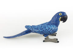 Macaw toys