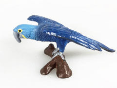 Macaw toys