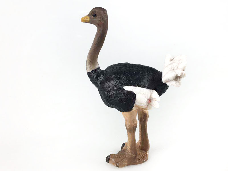 Ostrich toys