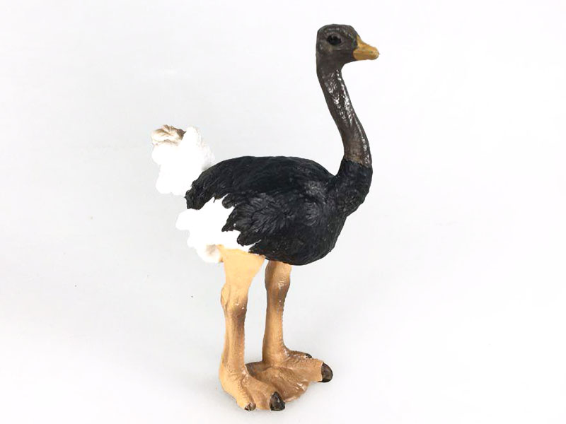 Ostrich toys