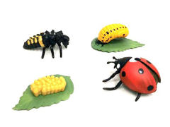 Growth Cycle Of Coccinella Septempunctata toys