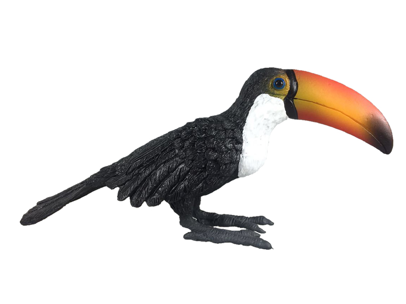 Toucan toys