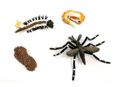 Mosquito Growth Cycle toys