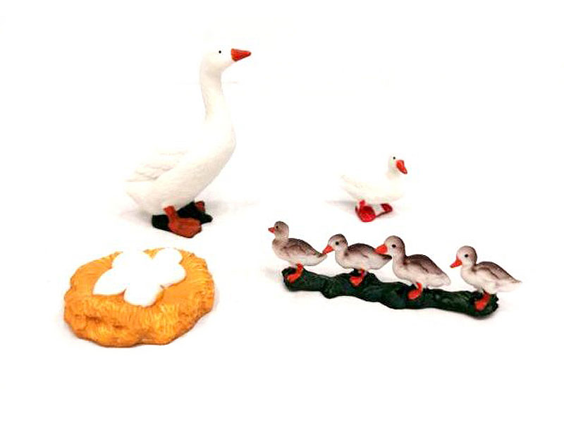 Duck Growth Cycle toys
