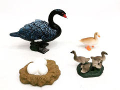 Black Swan Growth Cycle toys