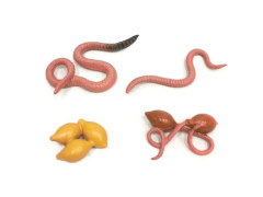 Earthworm Growth Cycle toys