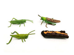 Grasshopper Growth Cycle toys