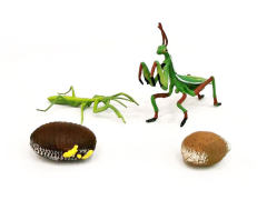 Mantis Growth Cycle toys