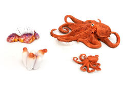Octopus Growth Cycle