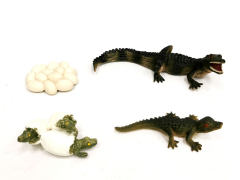 Crocodile Growth Cycle toys