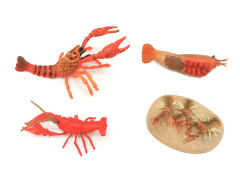 Shrimp Growth Cycle toys