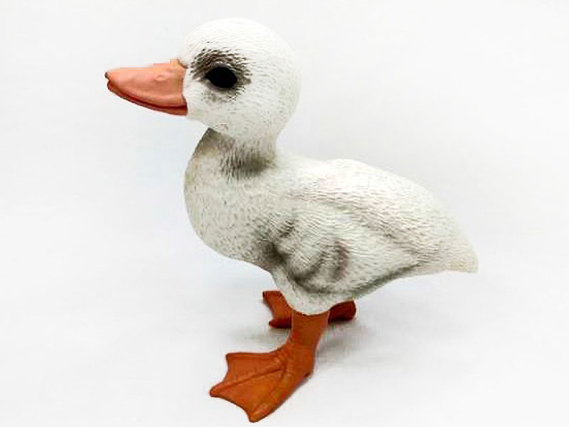 Duck toys