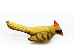 Canary toys