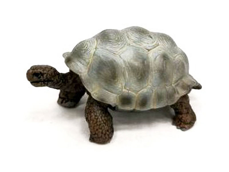 Tortoise toys