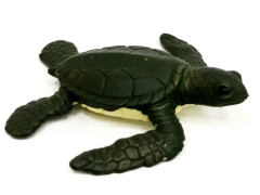 Turtle toys