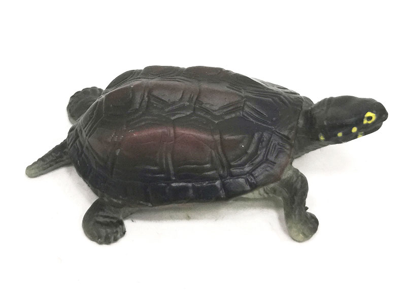 Tortoise toys