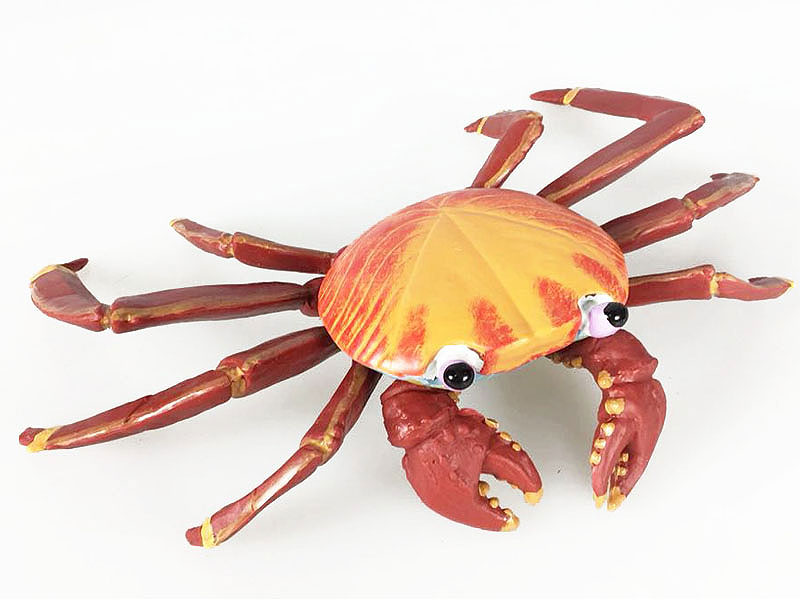 Crab toys