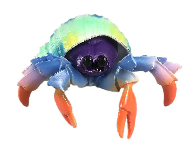 Hermit Crab toys