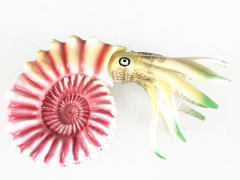 Nautilus toys