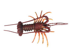 Australian Lobster toys