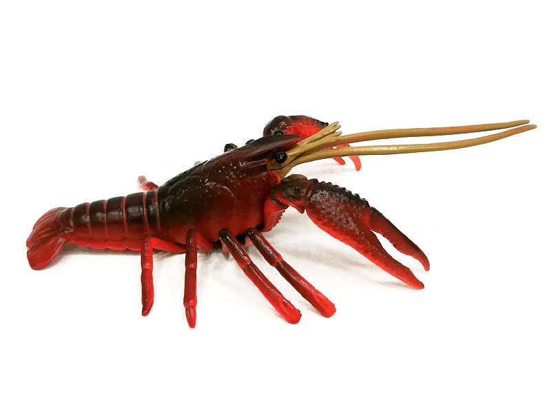 Crayfish toys