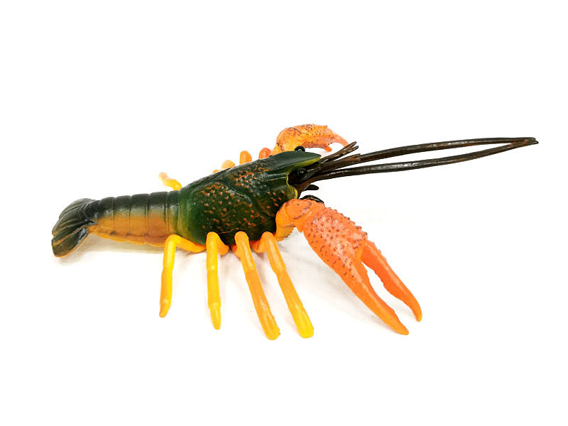 Crayfish toys