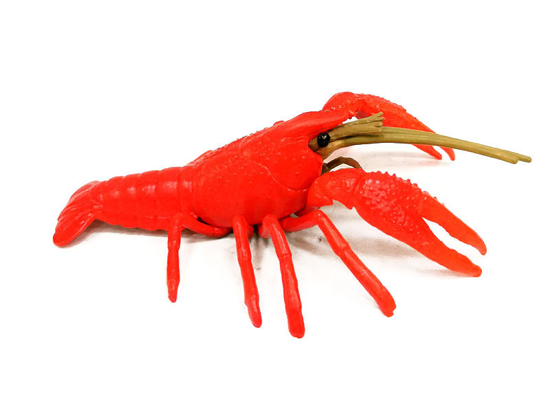 Crayfish toys