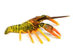 Crayfish toys