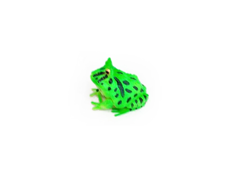 Frog toys