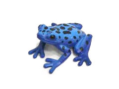 Tree frog toys