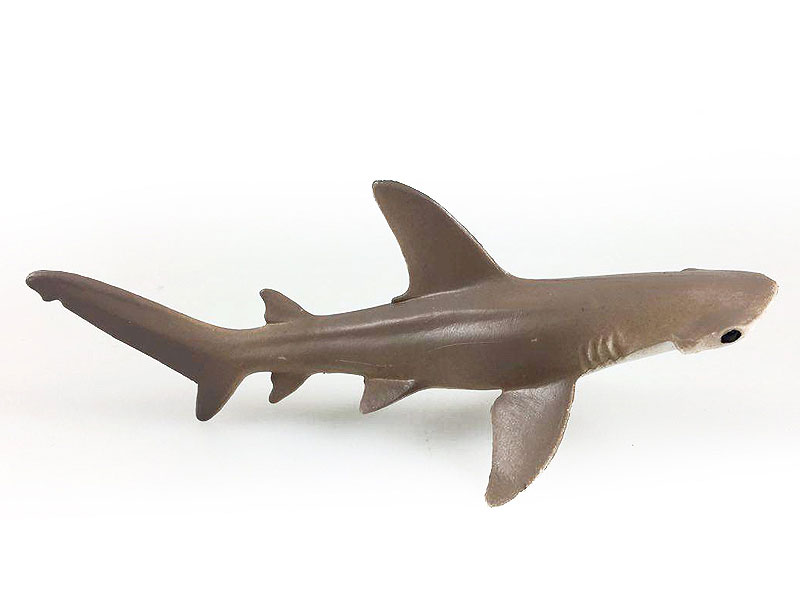 Hammerhead Shark toys