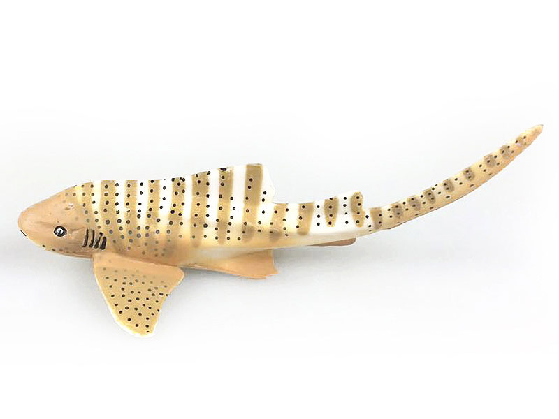 Zebra Shark toys