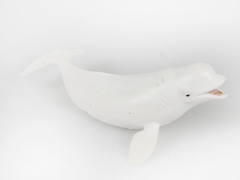 White Whale toys