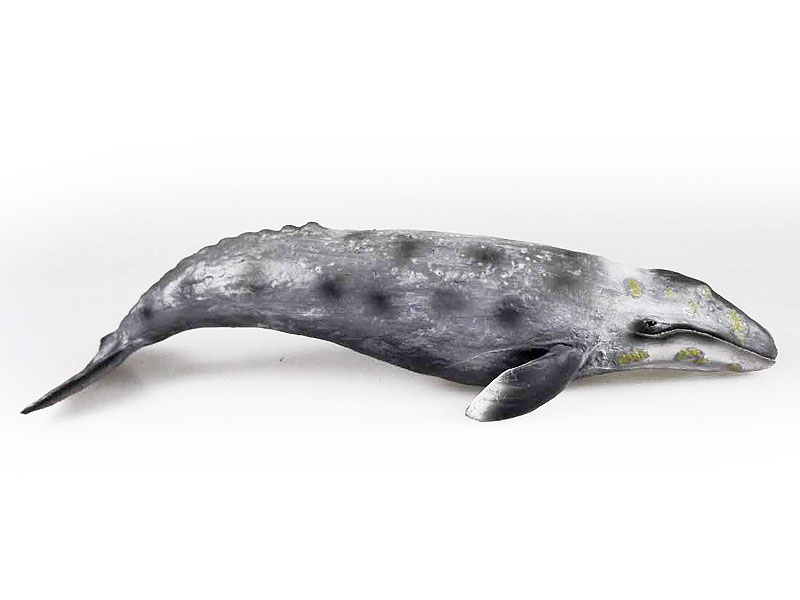 Gray Whale toys