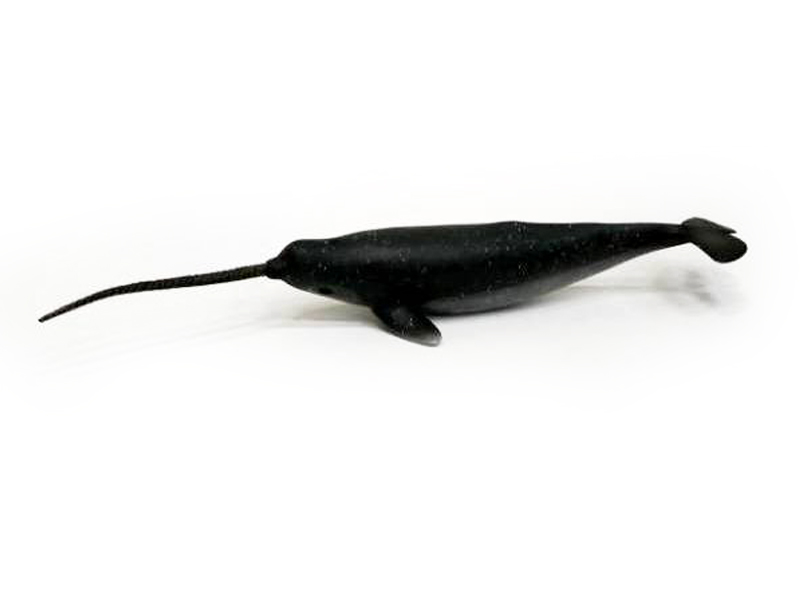 Narwhal toys