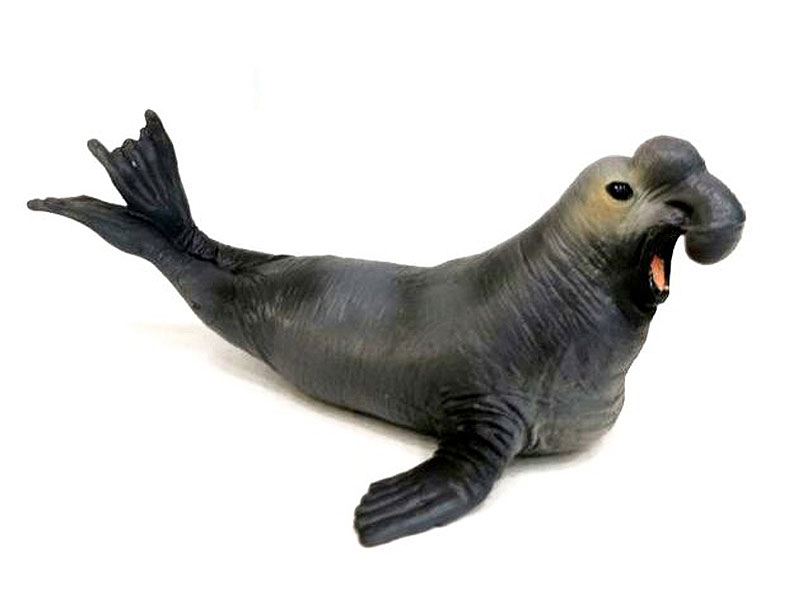 Harbor Seal toys