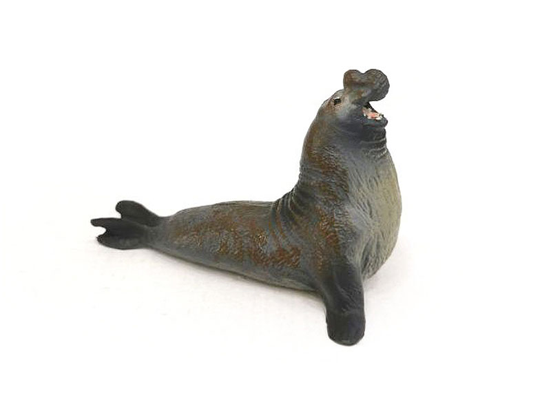 Harbor Seal toys