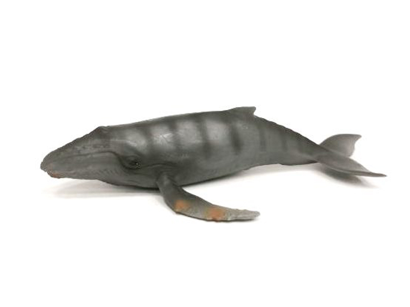 Gray Whale toys