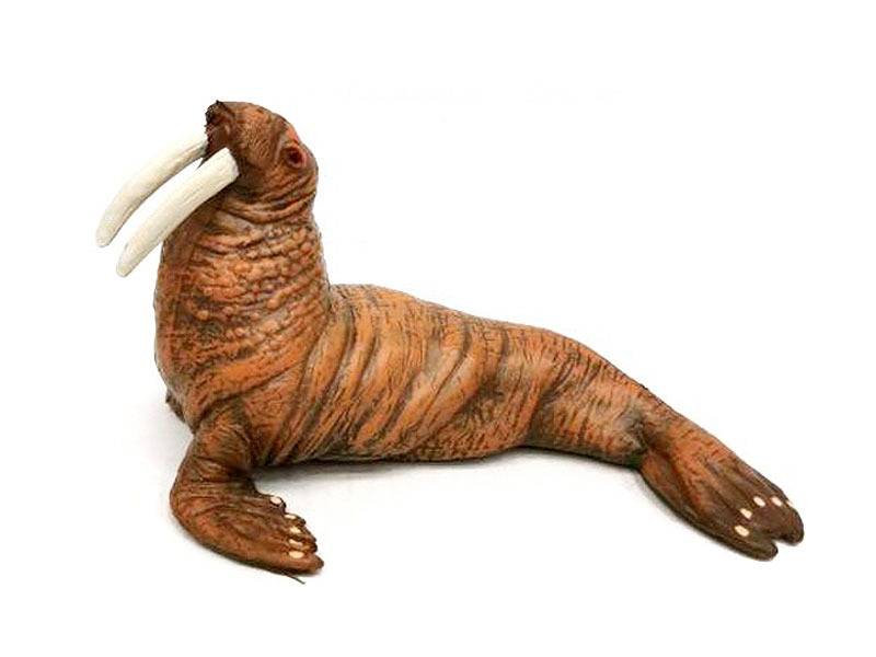 Walrus toys