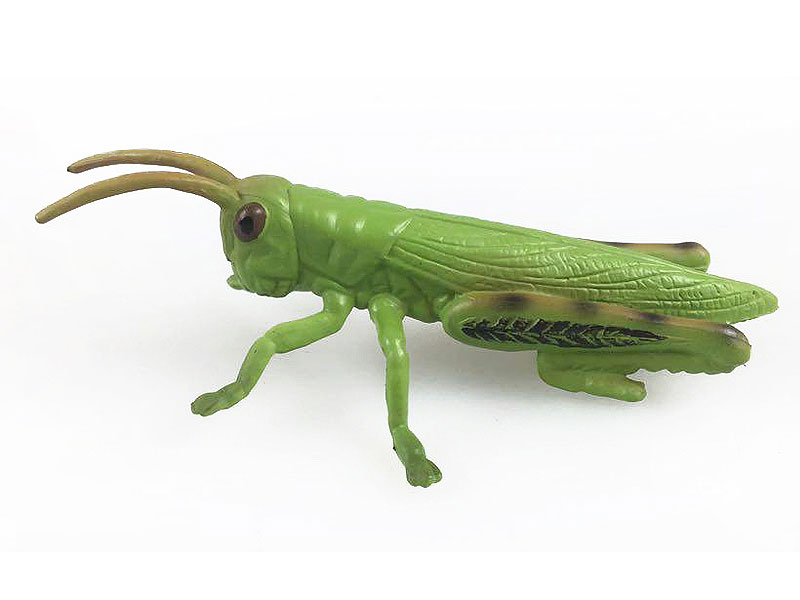 Grasshopper toys