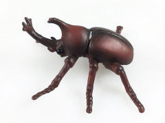 Unicorn Beetle