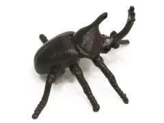 Unicorn Beetle