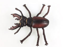 Stag Beetle toys