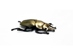 Beetle toys