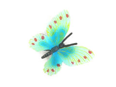 Butterfly toys