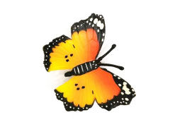 Butterfly toys