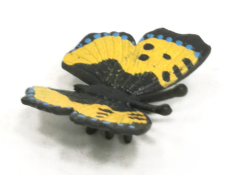 Butterfly toys